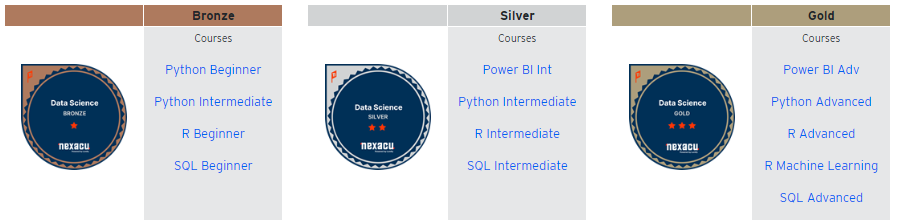 data science badge journey